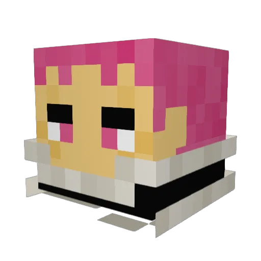 Vaskkeee Minecraft avatar head, 3D render