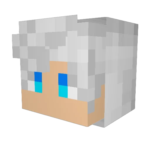 Vaslia Minecraft avatar head, 3D render