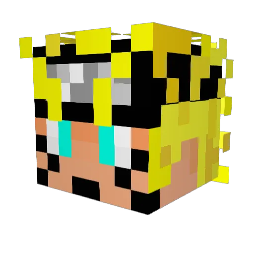 Vasra Minecraft avatar head, 3D render