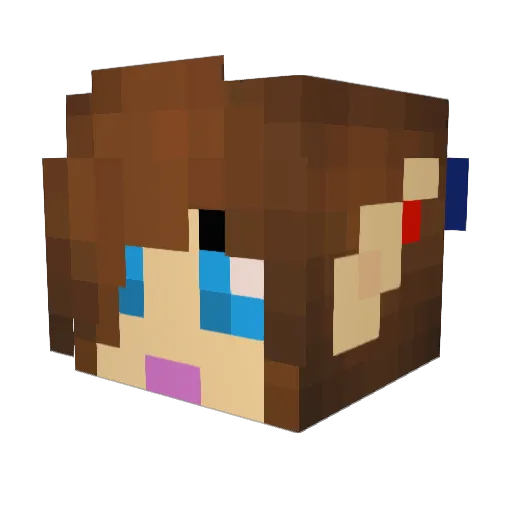 Vassar Minecraft avatar head, 3D render
