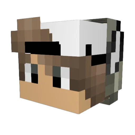 Vassilis005 Minecraft avatar head, 3D render
