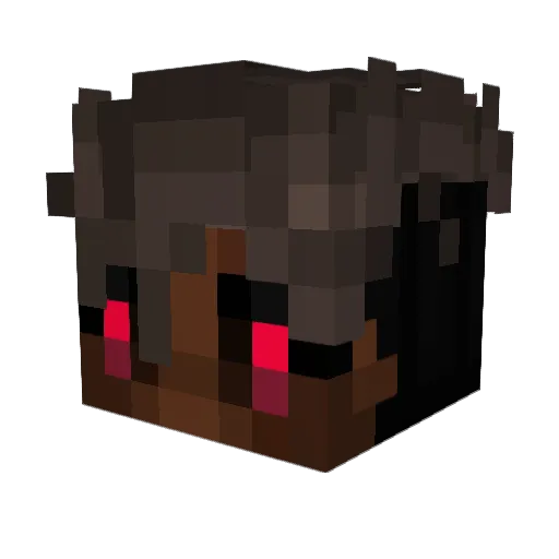 Vassy456 Minecraft avatar head, 3D render