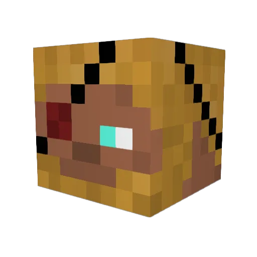 VastCosmos2045 Minecraft avatar head, 3D render