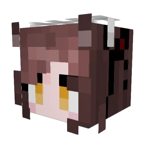 VastDream Minecraft avatar head, 3D render