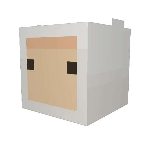 VastRabbit27 Minecraft avatar head, 3D render