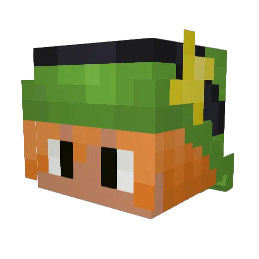 VastWonder Minecraft avatar head, 3D render