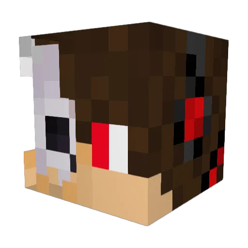 Vaster2003 Minecraft avatar head, 3D render