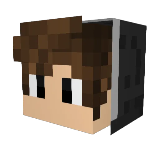 VastiPlay Minecraft avatar head, 3D render