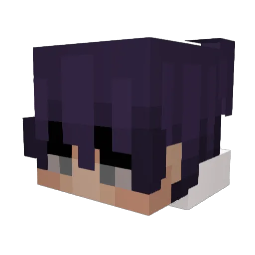 VastoLordeTK Minecraft avatar head, 3D render