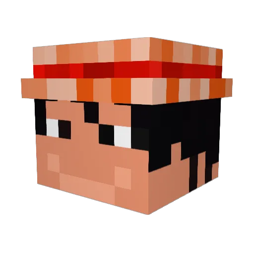 Vastroll Minecraft avatar head, 3D render