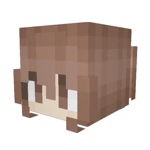 VastyBoi Minecraft avatar head, 3D render