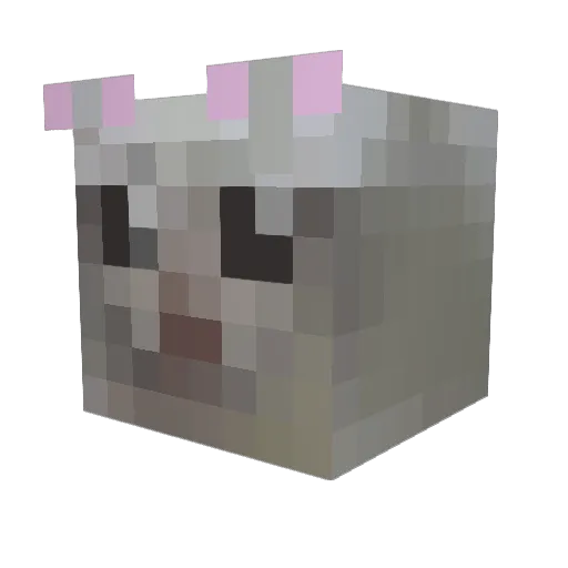 Vasyame Minecraft avatar head, 3D render