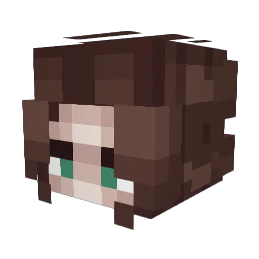 VataHell Minecraft avatar head, 3D render