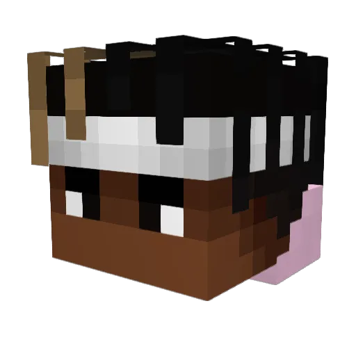Vatality Minecraft avatar head, 3D render