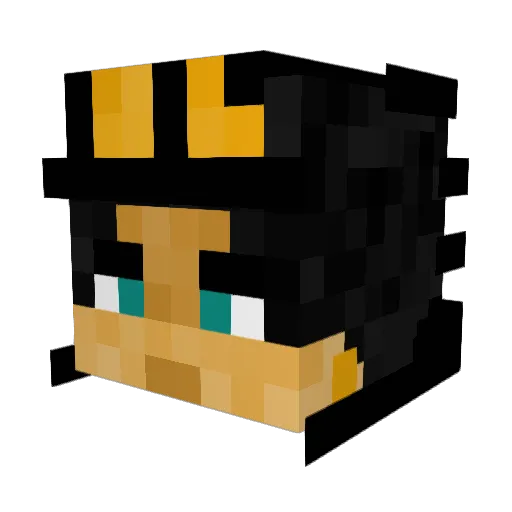 Vateraid Minecraft avatar head, 3D render