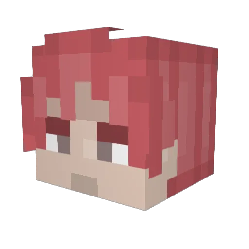 VatsHS Minecraft avatar head, 3D render
