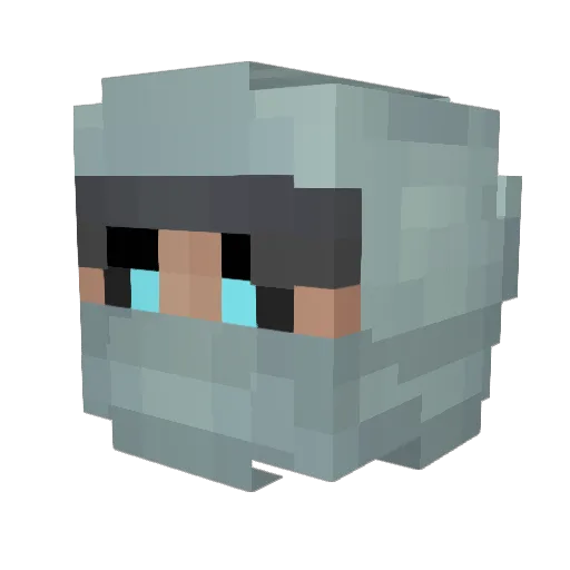 Vattenkran Minecraft avatar head, 3D render