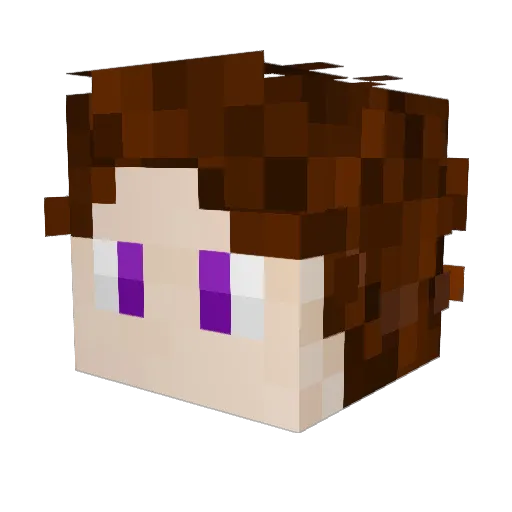 Vauc Minecraft avatar head, 3D render