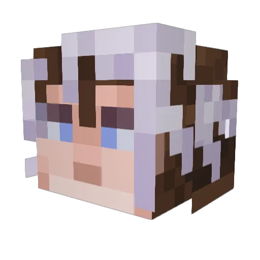 Vaugan_ Minecraft avatar head, 3D render