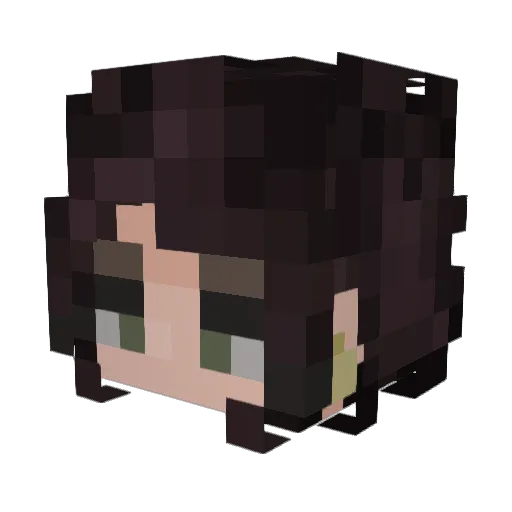 VaughnRPerm Minecraft avatar head, 3D render