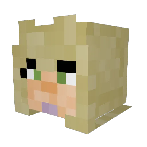 VaughnTrappsWife Minecraft avatar head, 3D render
