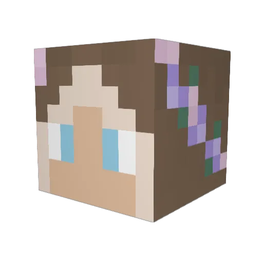 Vauletti Minecraft avatar head, 3D render