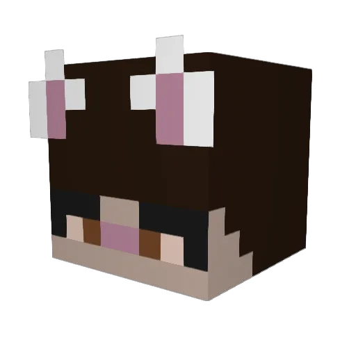 Vauliiiii Minecraft avatar head, 3D render