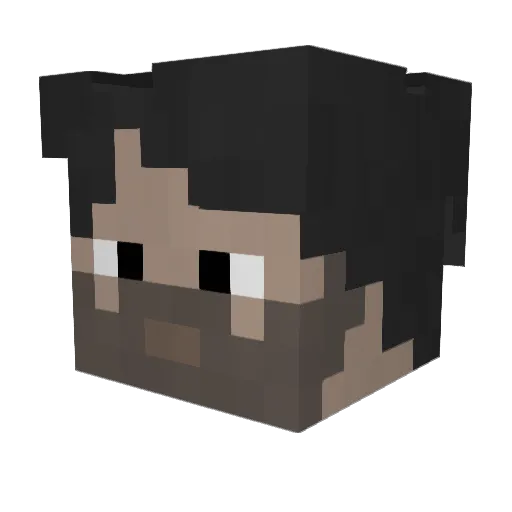 Vault0tec76 Minecraft avatar head, 3D render