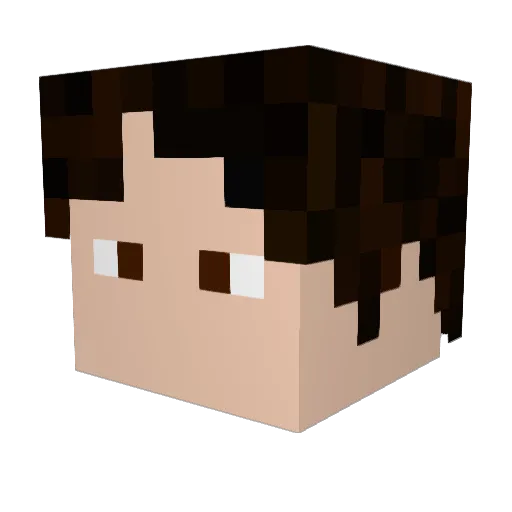 Vaultboy0 Minecraft avatar head, 3D render