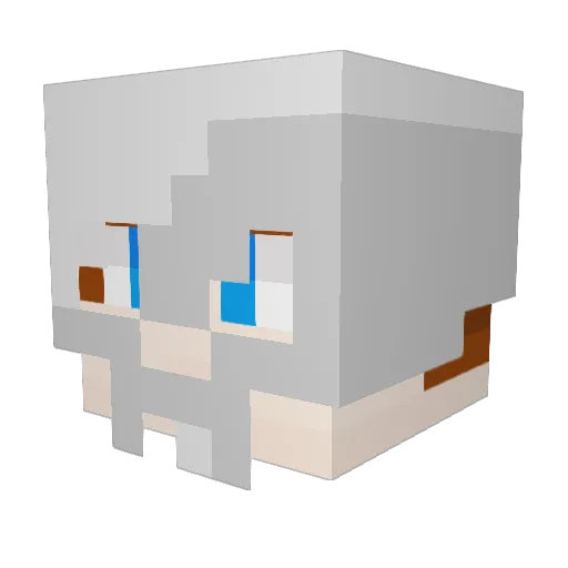 Vaultysworld Minecraft avatar head, 3D render
