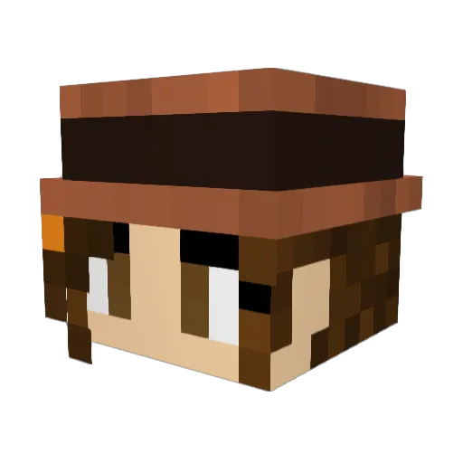 Vaunna Minecraft avatar head, 3D render