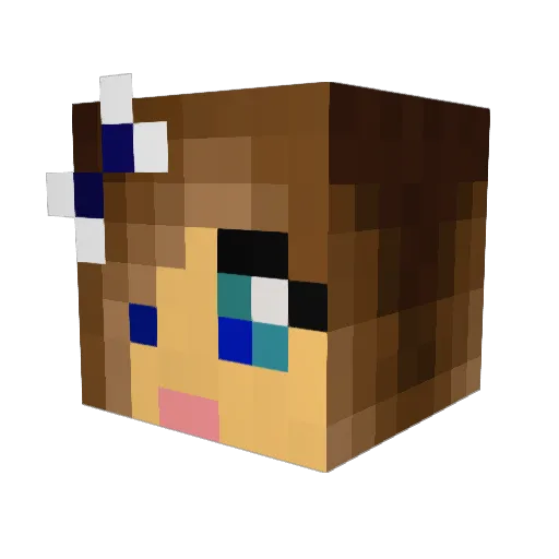 Vavadu66 Minecraft avatar head, 3D render