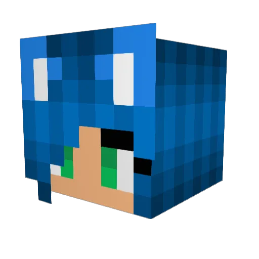 VaviCat Minecraft avatar head, 3D render