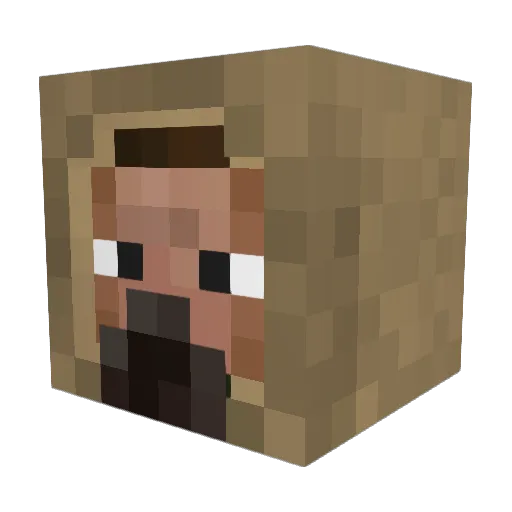 VaxDevi Minecraft avatar head, 3D render