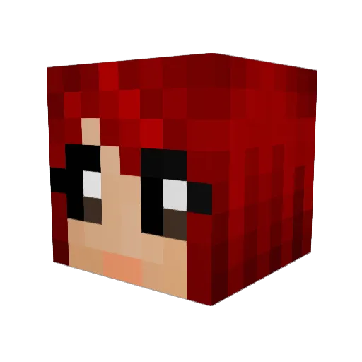 Vaxax111 Minecraft avatar head, 3D render