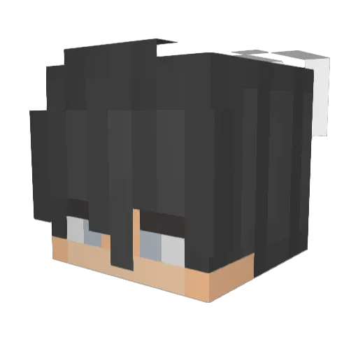 Vaxer Minecraft avatar head, 3D render