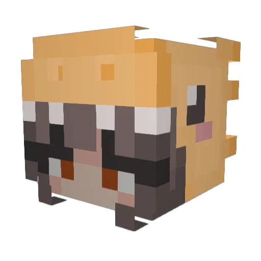 Vay_0 Minecraft avatar head, 3D render