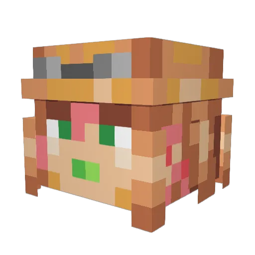 Vaye_RBLX Minecraft avatar head, 3D render