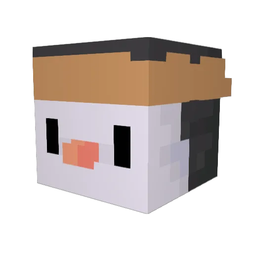 Vaykky Minecraft avatar head, 3D render