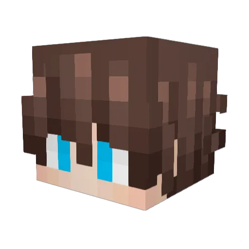 Vaylushax Minecraft avatar head, 3D render