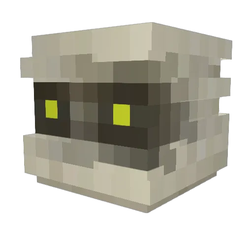 VayneFeetLicker Minecraft avatar head, 3D render