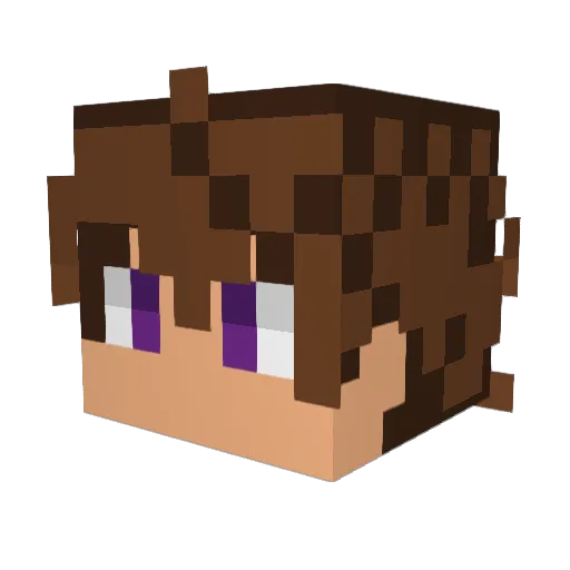 Vayner Minecraft avatar head, 3D render