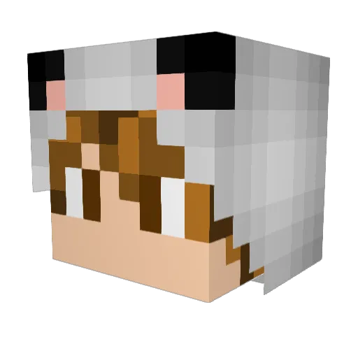 Vayrion Minecraft avatar head, 3D render