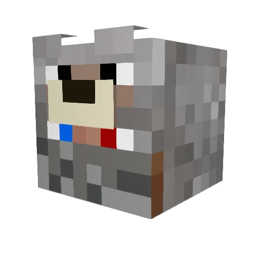 Vayzata Minecraft avatar head, 3D render