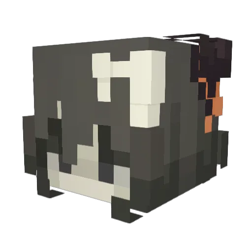 Vazachka Minecraft avatar head, 3D render