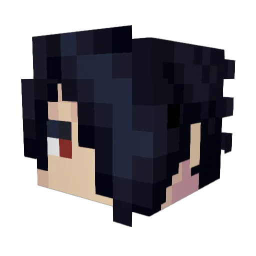 Vazirthy Minecraft avatar head, 3D render