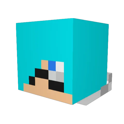 VazzyRin Minecraft avatar head, 3D render
