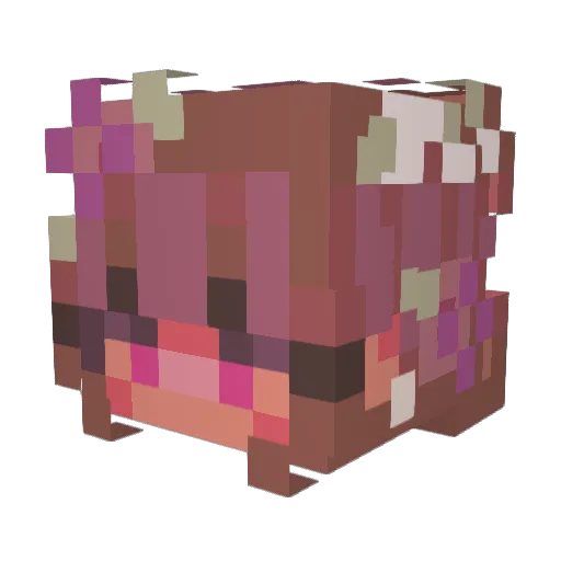 Vdley Minecraft avatar head, 3D render