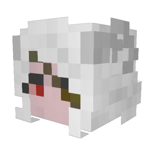 Vdrestia Minecraft avatar head, 3D render