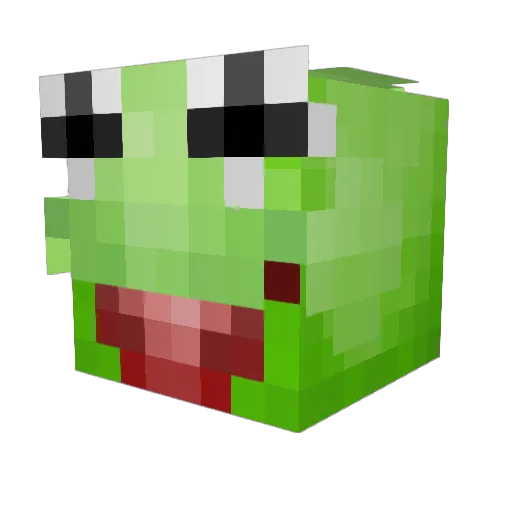 Vdub2289 Minecraft avatar head, 3D render
